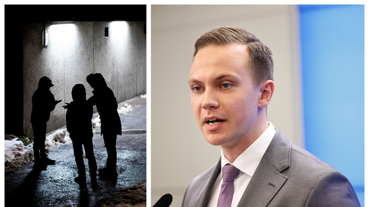 Sverigedemokraterna vill införa en ny form av samhällstjänst.